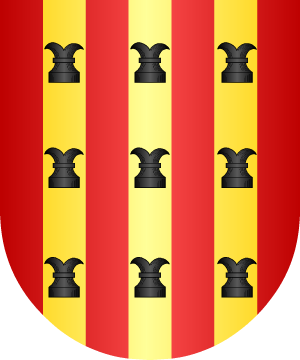 ESCUDO ALEATORIO